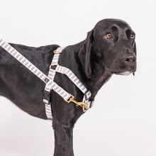 Mosaic Hemp Dog Harness